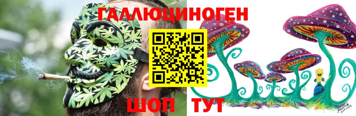 Галлюциногенные грибы GOLDEN TEACHER Ялуторовск